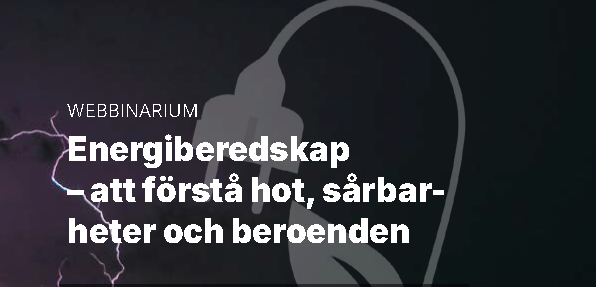 Energiberedskap att förstå hot, sårbarheter och beroenden