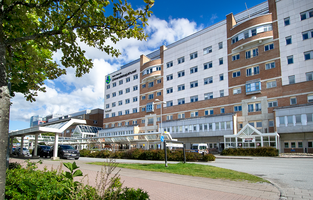 En vy över M-huset USÖ, träd på vänstersida och det vita och bruna tegelbyggnaden på andra sidan