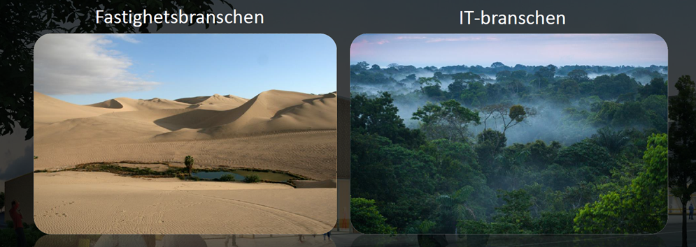 En bild på en öken med texten fastighetsbranschen, bredvid är en bild på en regnskog med texten IT-branschen