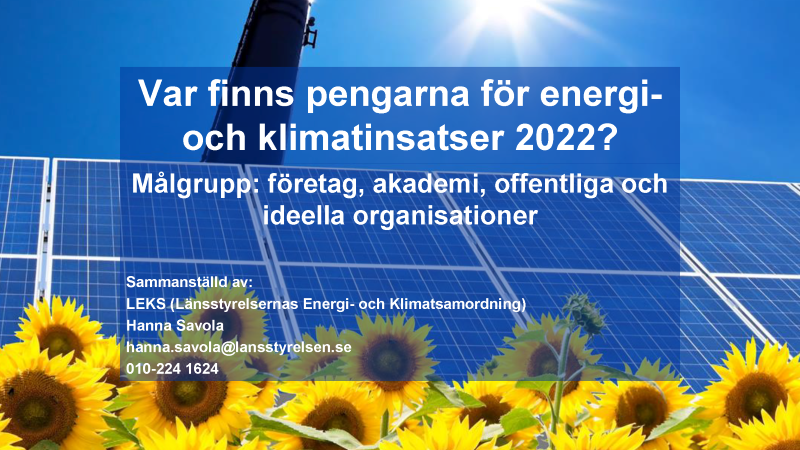 Blå bakgrund med gula solrosor - text Var finns pengarna 2022?