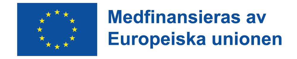 EU-flaggan med texten Medfinansieras av Europeiska unionen